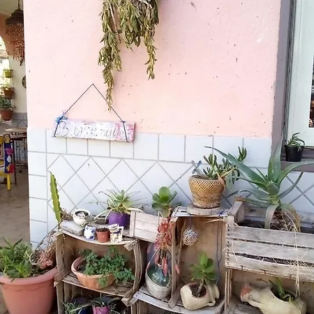 Casa Epiard-orofino ホームステイ カターニア